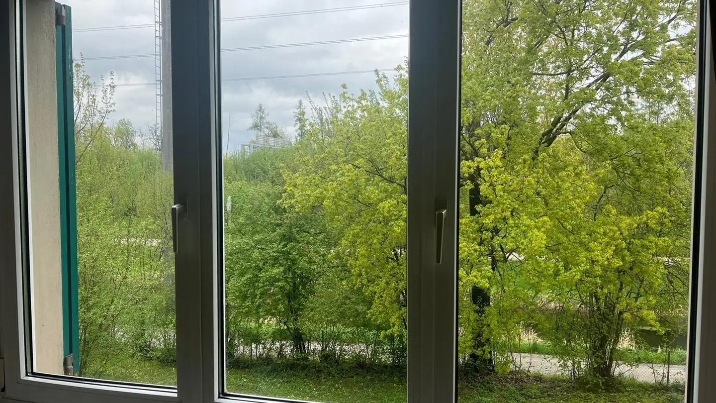 Wohnung mieten - Ueberlandstrasse 345, 8051 Zürich - Foto 3