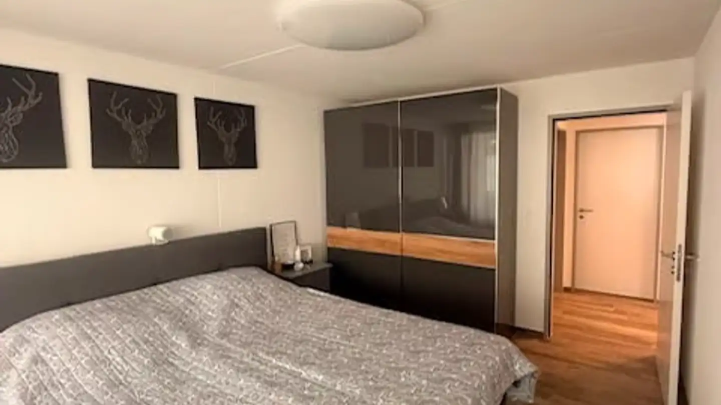 Appartamento in affitto - Eichbergstrasse 4, 9463 Oberriet SG - Foto 3