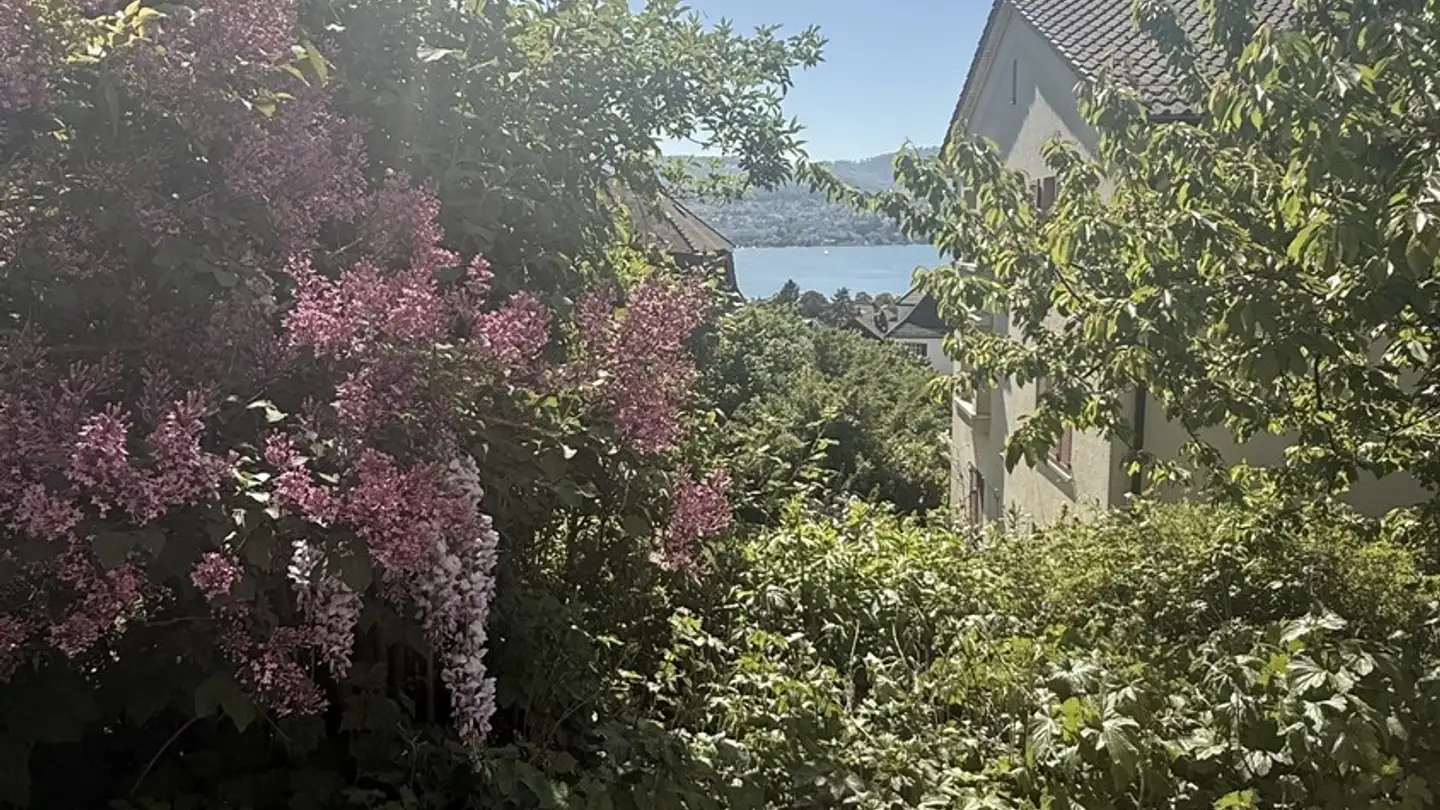 Chambre à louer - Lerchenbergstrasse 56, 8703 Erlenbach ZH - Photo 2