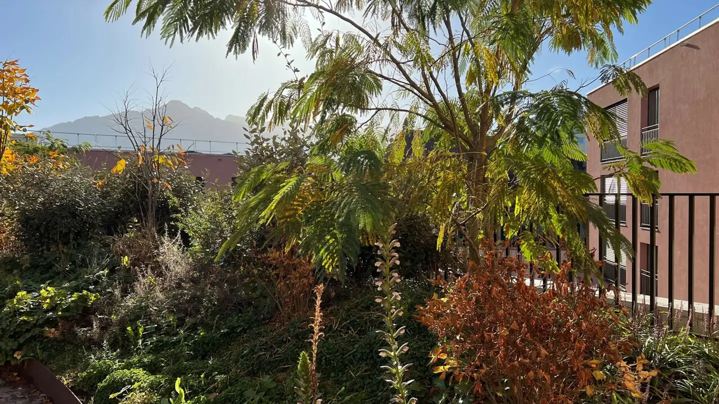 Apartment for rent - Rue de la Lécheretta 17, 1630 Bulle