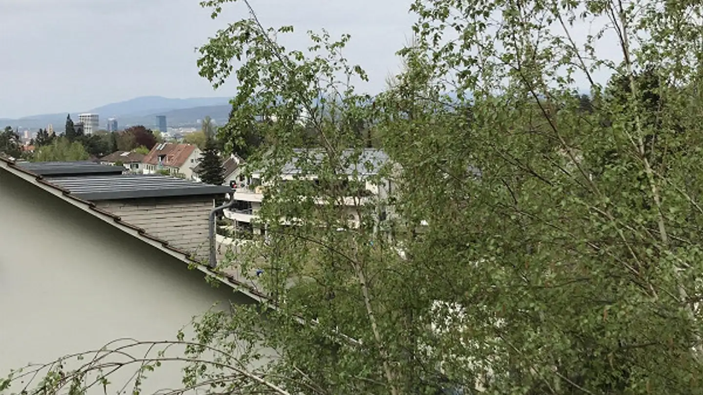 Appartement à louer - Oberer Batterieweg 10, 4059 Basel - Photo 2