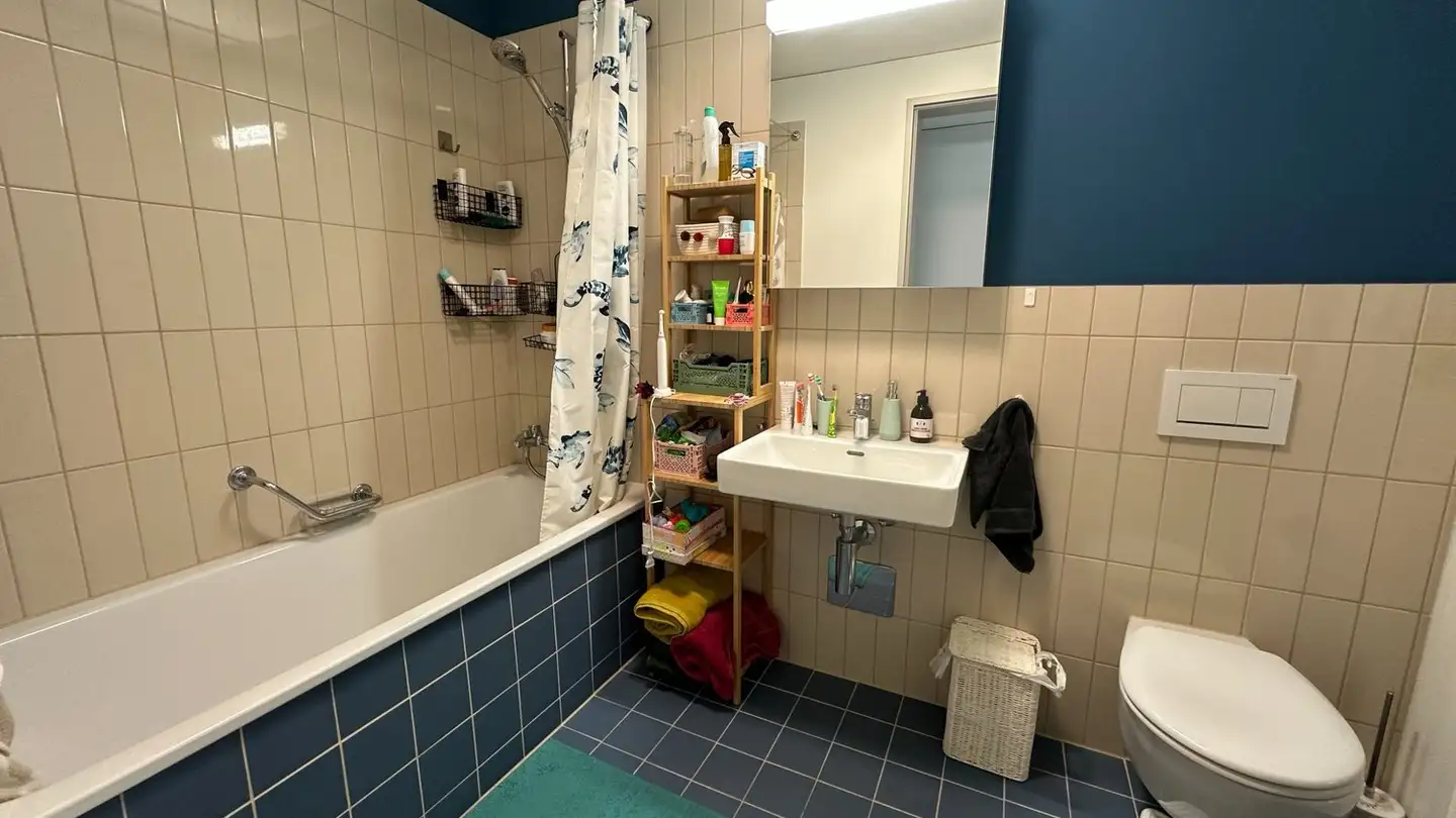 Appartement à louer - Am Stadtrand 13, 8600 Dübendorf