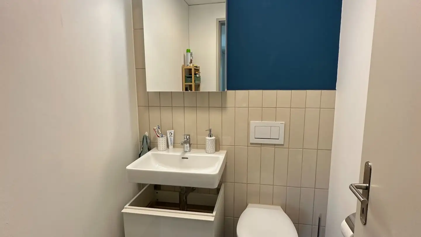Appartement à louer - Am Stadtrand 13, 8600 Dübendorf - Photo 2