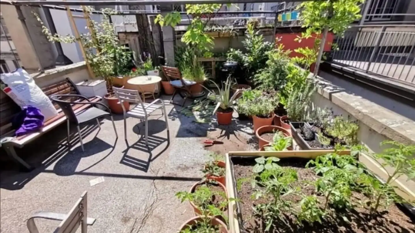 Zimmer mieten - 5000 Aarau - Foto 4