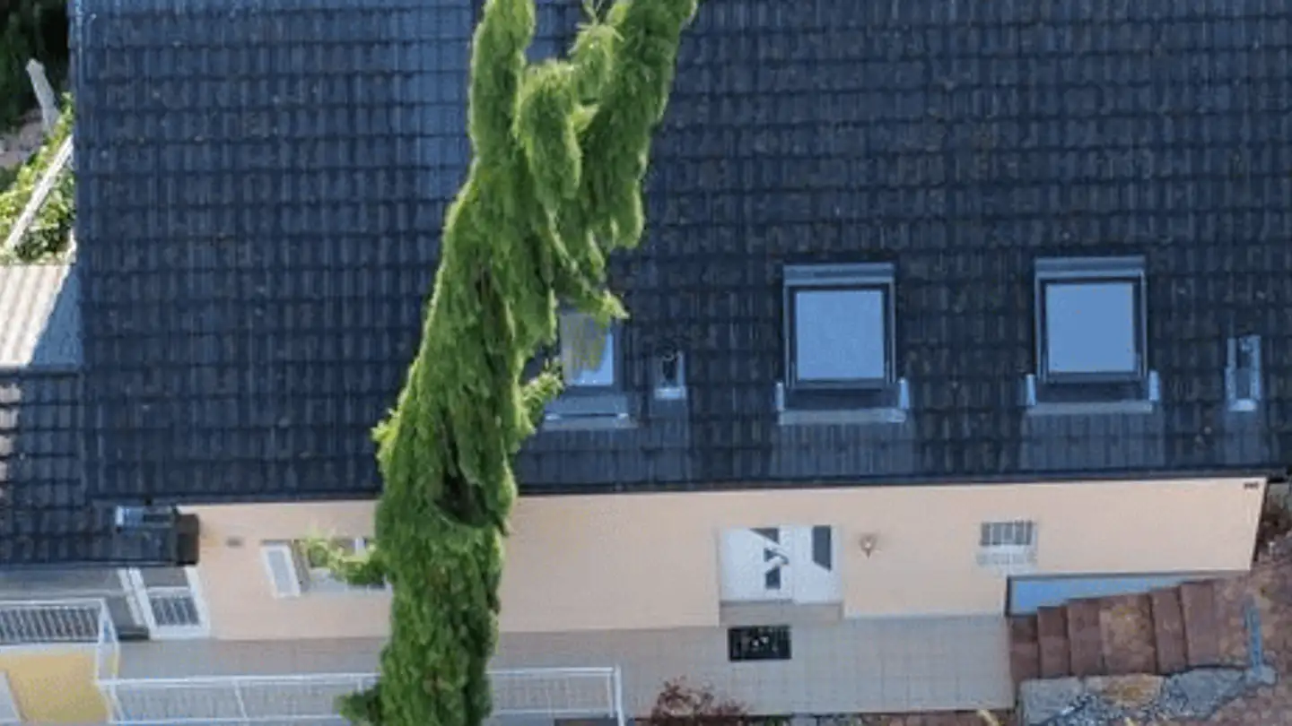 Maison individuelle à vendre - Torkelstrasse 23, 9445 Rebstein