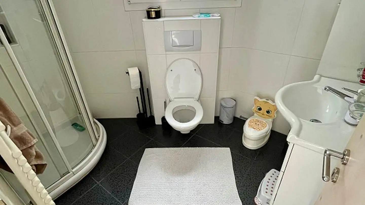 Single house for sale - Strajaweg 7, 7203 Trimmis - Photo 4