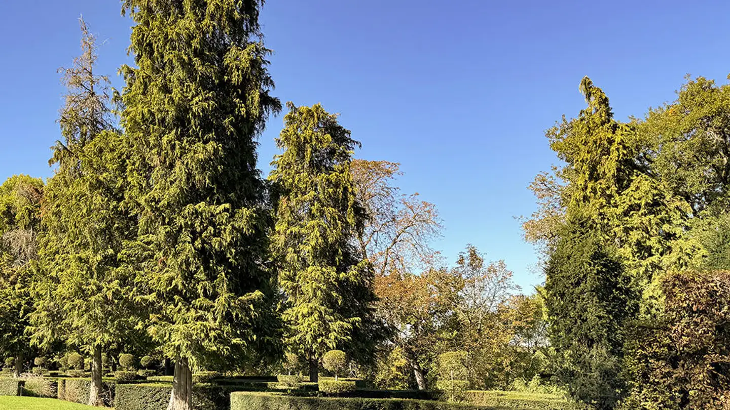 Residential building for sale - 6900 Lugano