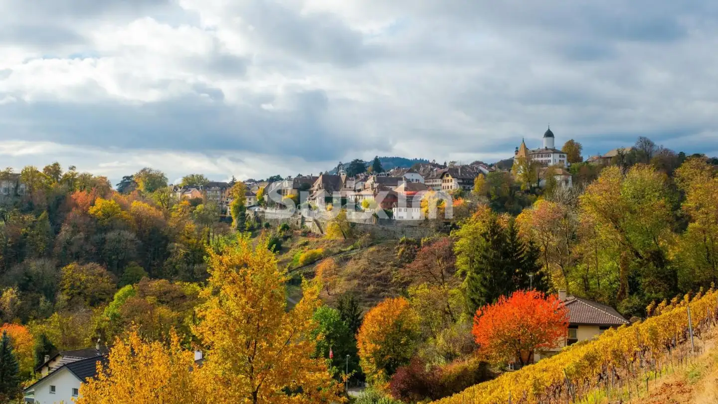 Appartement à vendre - 1304 Cossonay-Ville