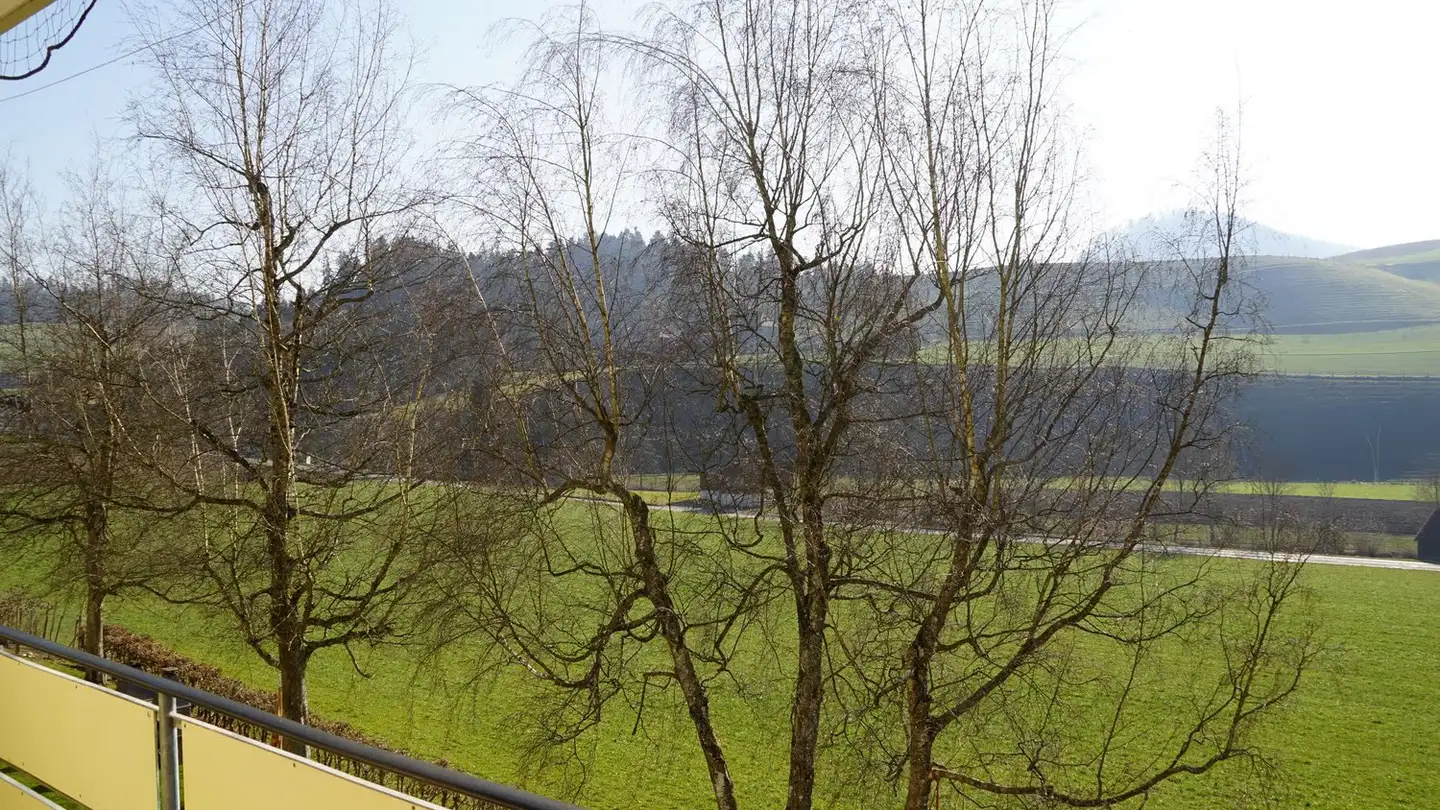 Appartamento in affitto - Haldenstrasse 10, 3432 Lützelflüh-Goldbach