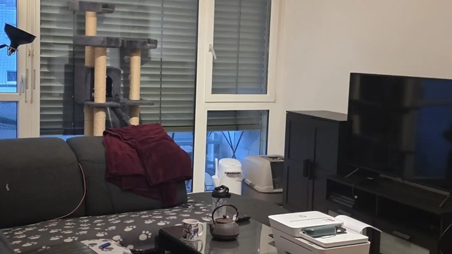 Wohnung mieten - 8307 Effretikon