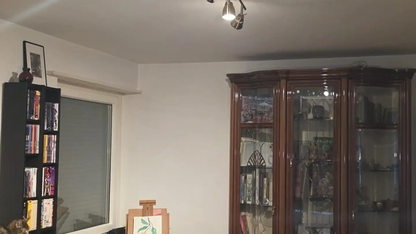 Wohnung mieten - 8307 Effretikon - Foto 4