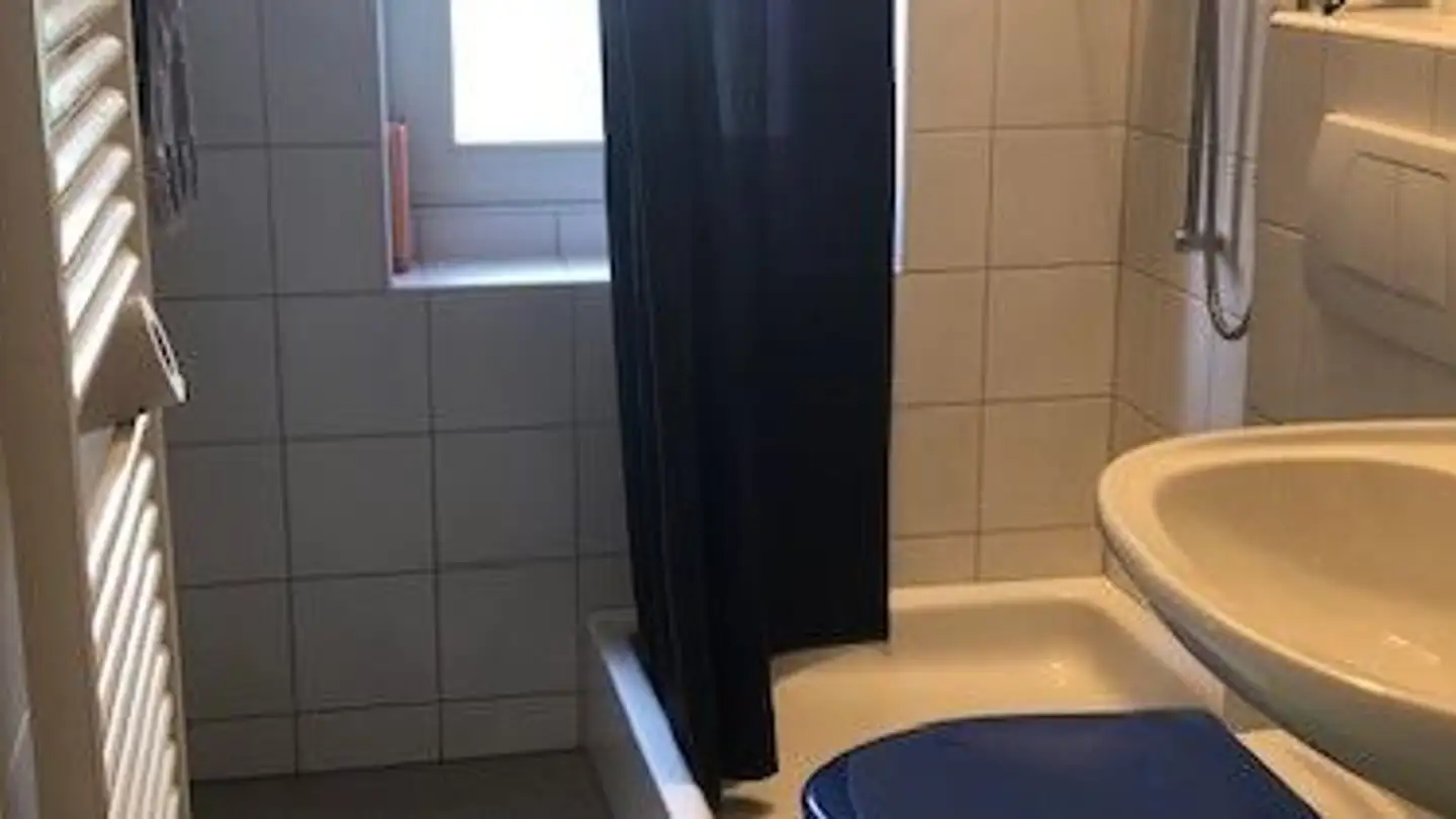 Chambre à louer - 8050 Zürich - Photo 3