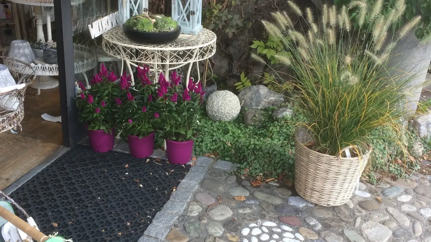 Commercial for rent - Wallisellenstrasse 28, 8600 Dübendorf - Photo 4