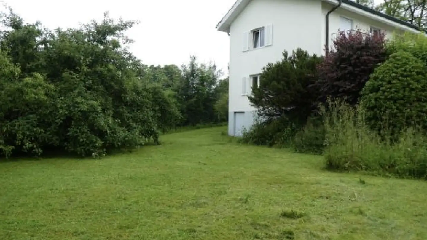Single house for rent - Guldisloostrasse 26, 8620 Wetzikon ZH - Photo 2