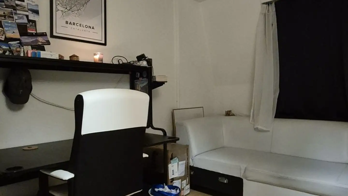 Stanza singola in affitto - Austrasse 43, 8045 Zürich - Foto 3