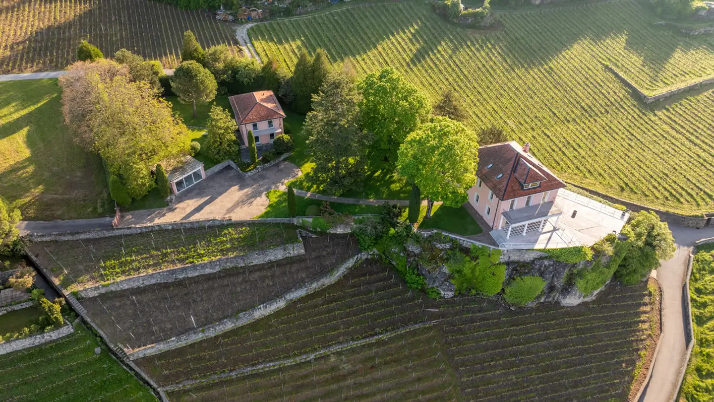 Einfamilienhaus kaufen - 1071 Chexbres - Foto 2