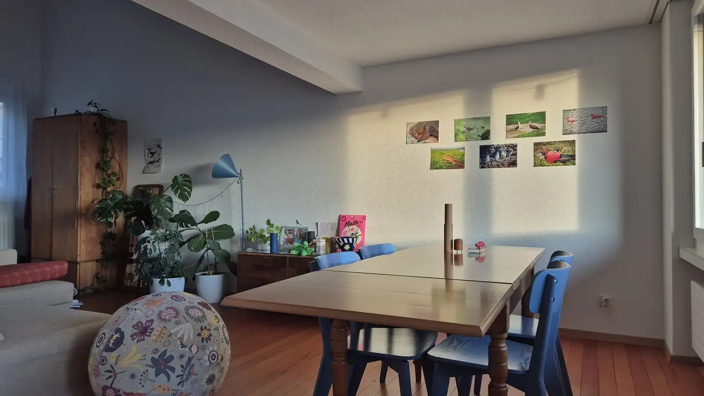 Appartamento in affitto - Hohenklingenstrasse 13, 8049 Zürich - Foto 2