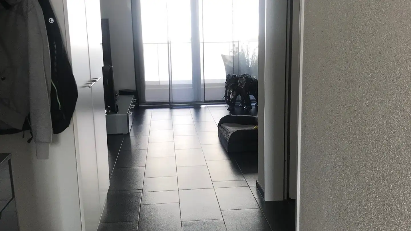 Appartement à louer - Häberlimatteweg 55, 3052 Zollikofen - Photo 3