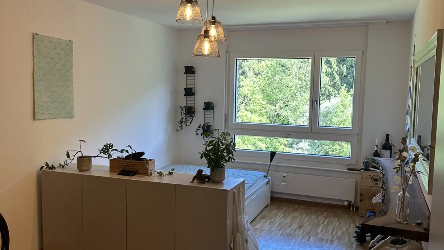Stanza singola in affitto - Benziwilstrasse 14, 6020 Emmenbrücke