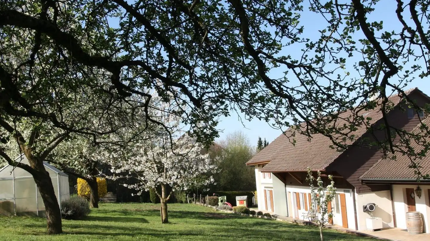 Single house for sale - Chemin Des Cerisiers 2, 1682 Villars-Bramard