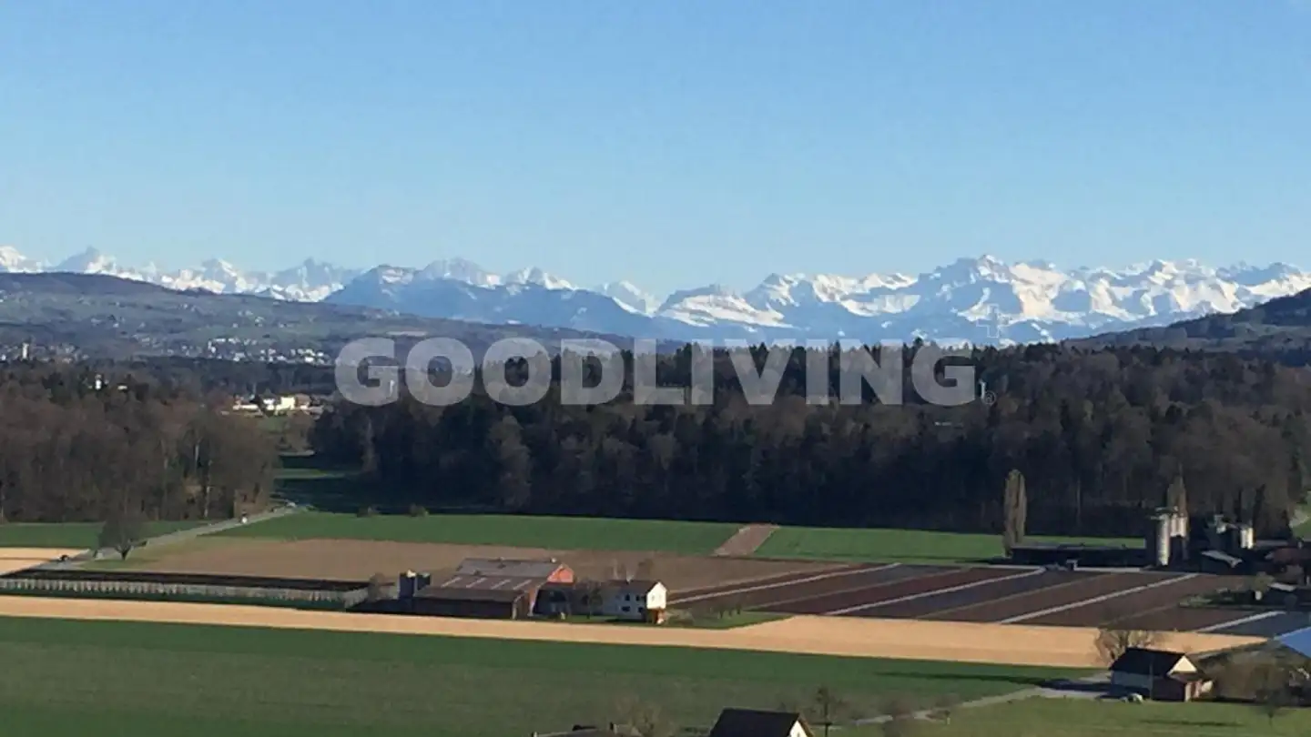 Einfamilienhaus kaufen - Rebenweg 12e, 5503 Schafisheim