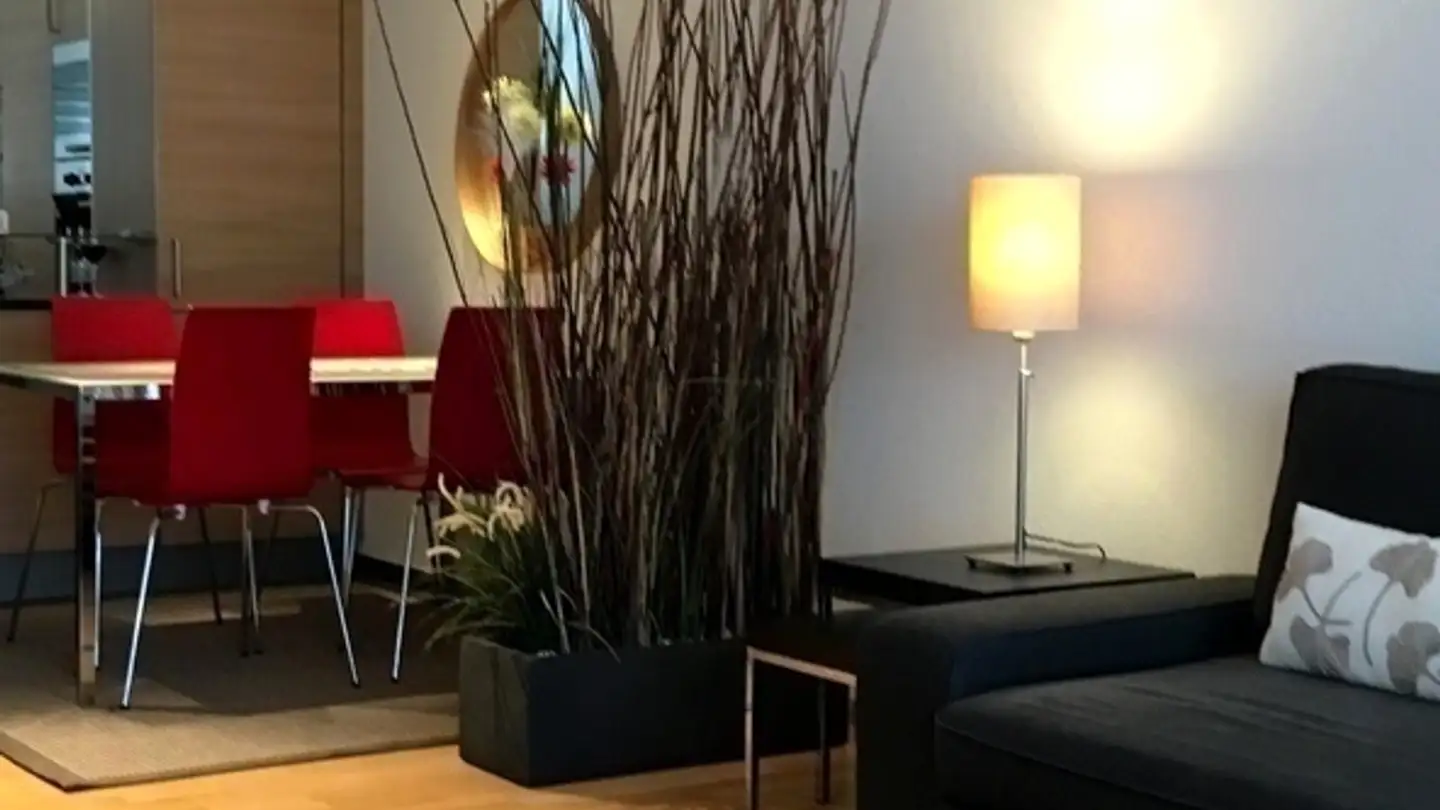 Appartamento ammobiliato in affitto - 9016 St. Gallen - Foto 4