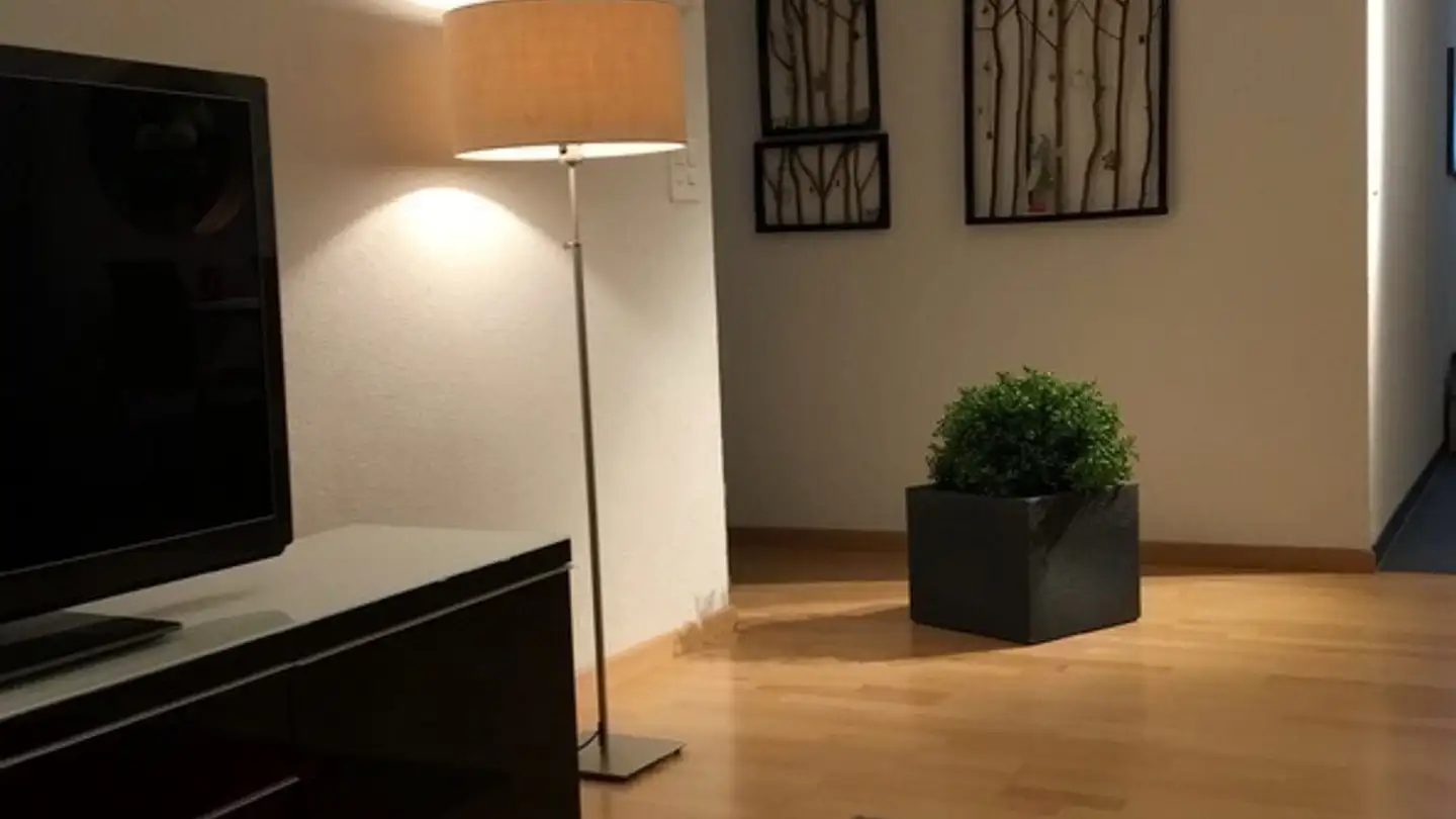 Appartamento ammobiliato in affitto - 9016 St. Gallen - Foto 3