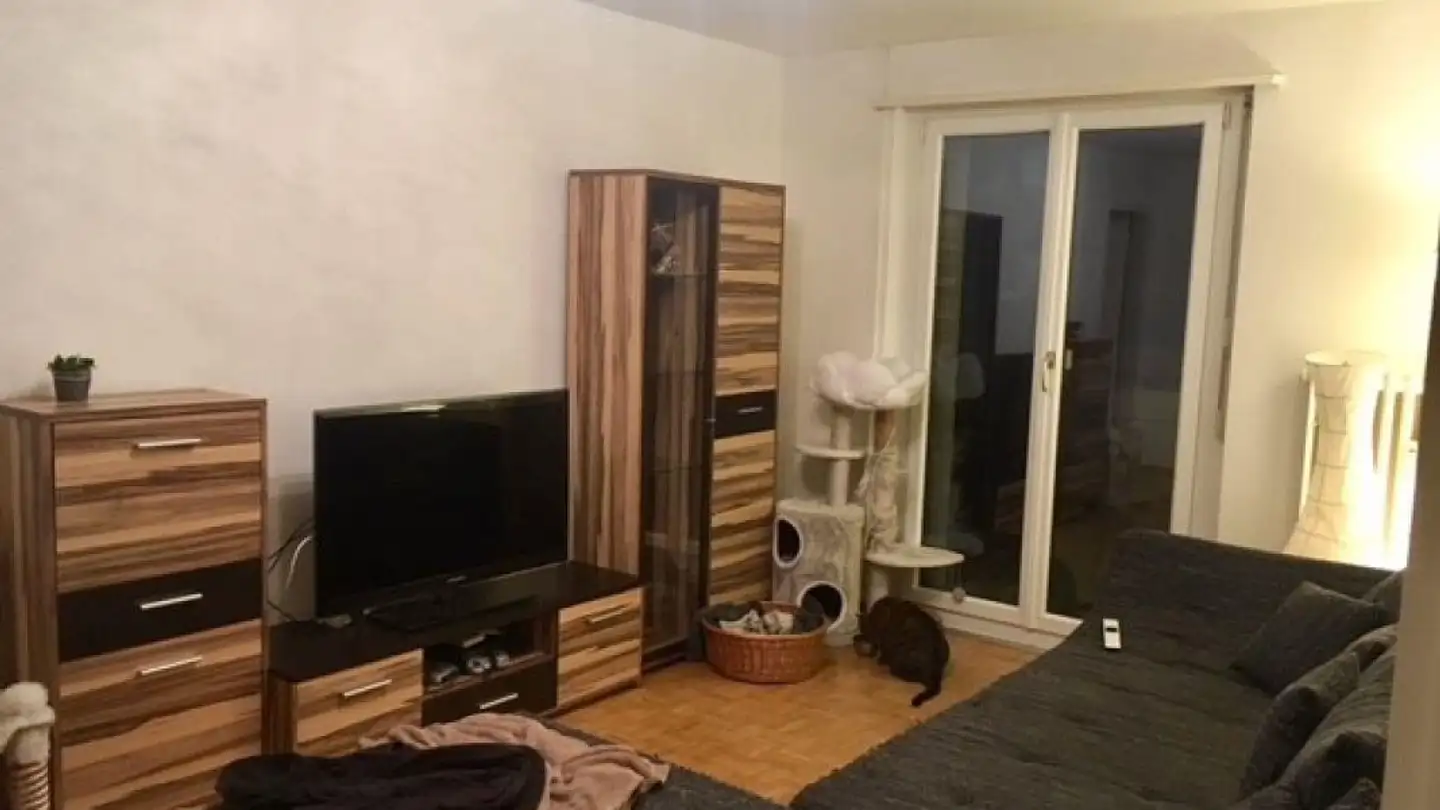 Apartment for rent - Talackerstrasse, 8500 Frauenfeld - Photo 2