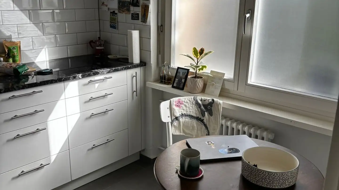 Appartement à louer - 8047 Zürich - Photo 3