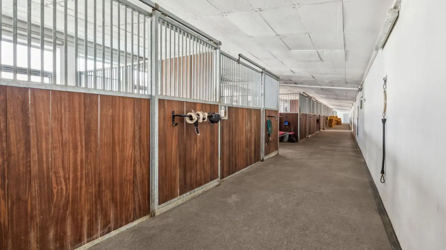 Casa singola in vendita - 9542 Münchwilen TG - Foto 4