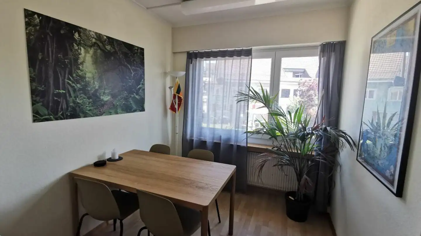 Apartment for rent - Unterdorfstrasse 36, 9524 Zuzwil SG - Photo 2