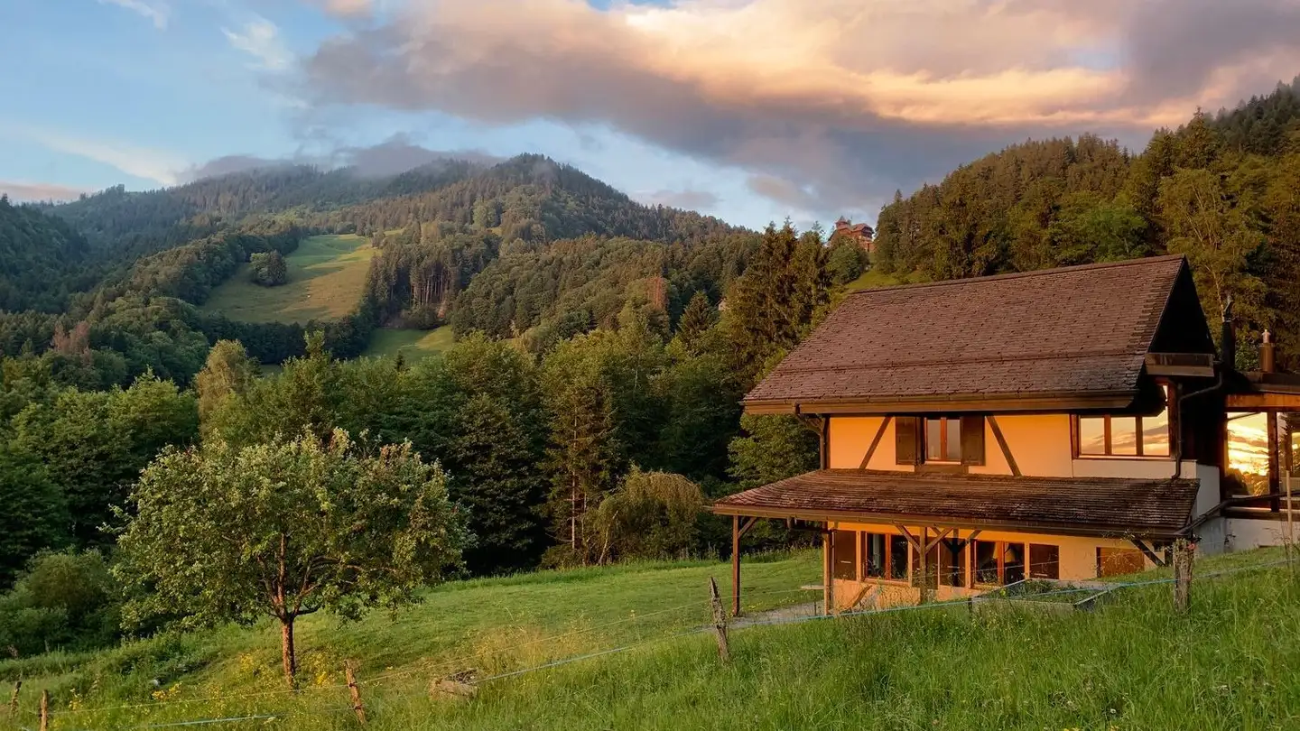 Casa singola in vendita - Route Du Vallon 8, 1832 Villard-sur-Chamby - Photo 2
