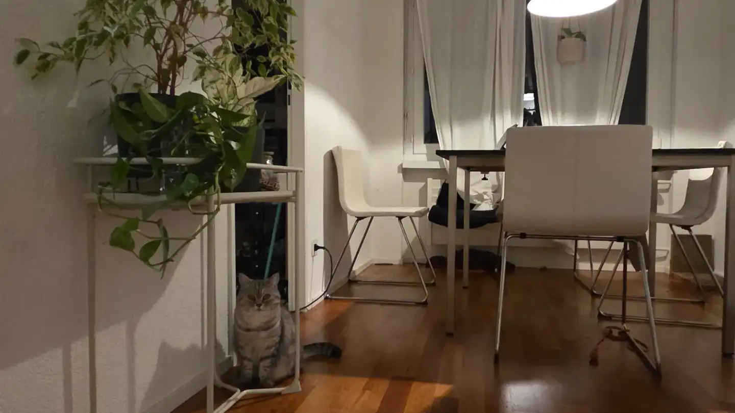 Chambre à louer - Teufener Strasse 57, 9000 St. Gallen - Photo 4