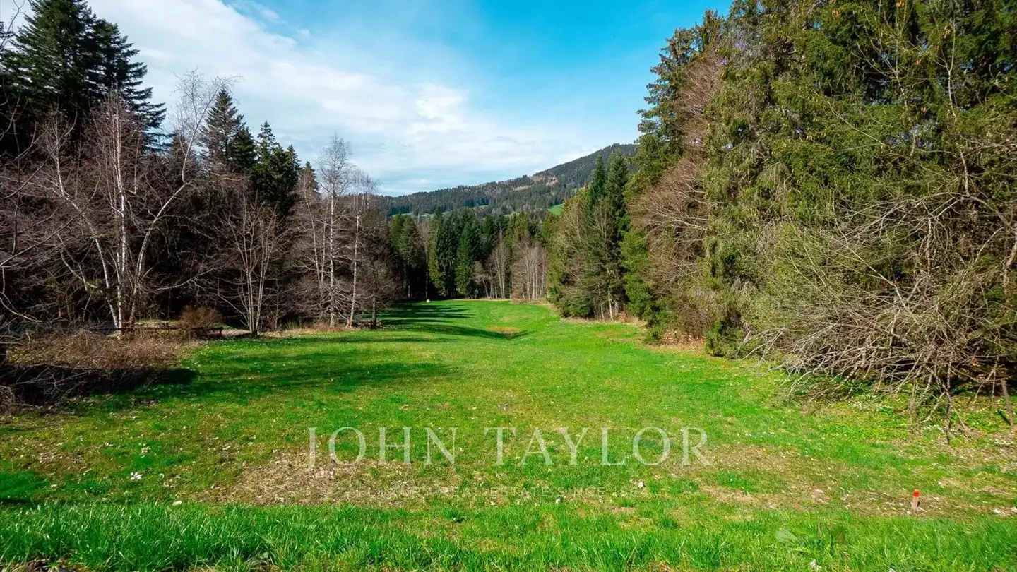 Constructible plot for sale - 1619 Les Paccots