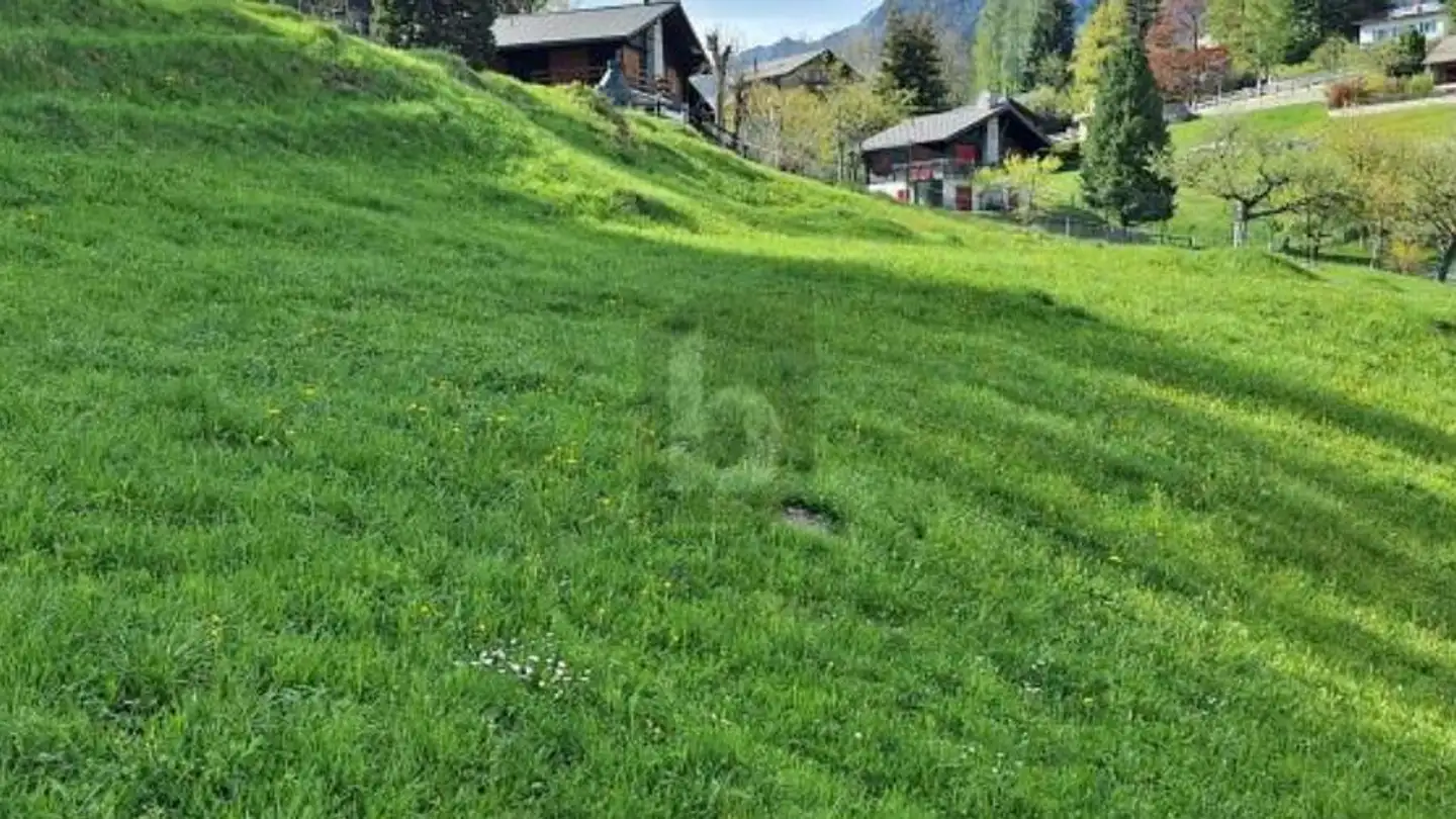 Terreno edificabile in vendita - 6774 Dalpe
