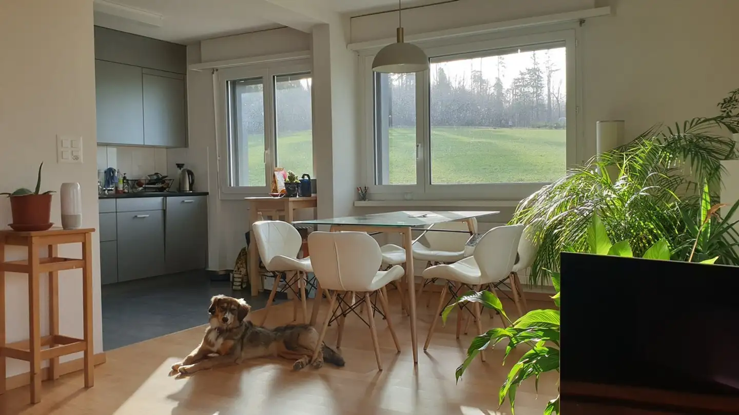 Chambre à louer - 8053 Zürich - Photo 2