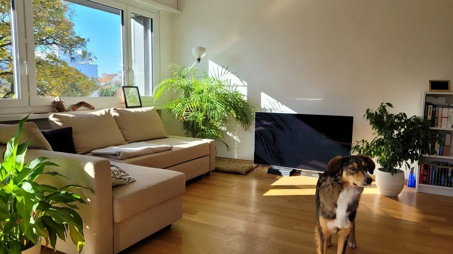 Chambre à louer - 8053 Zürich - Photo 3