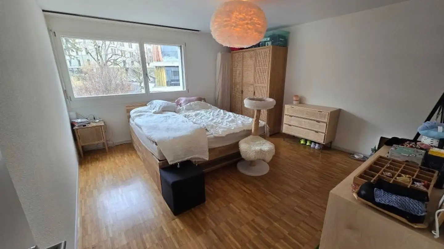 Appartamento in affitto - Chemin Des Grandes-Roches 7a, 1018 Lausanne - Foto 4