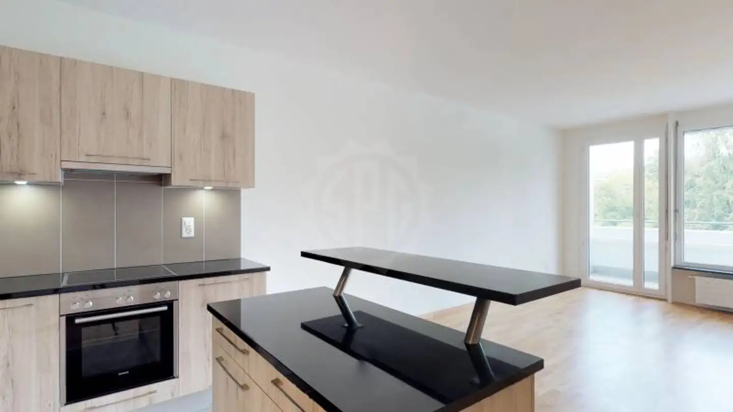 Appartement à louer - Rue De Moillebeau 54, 1209 Genève - Photo 4