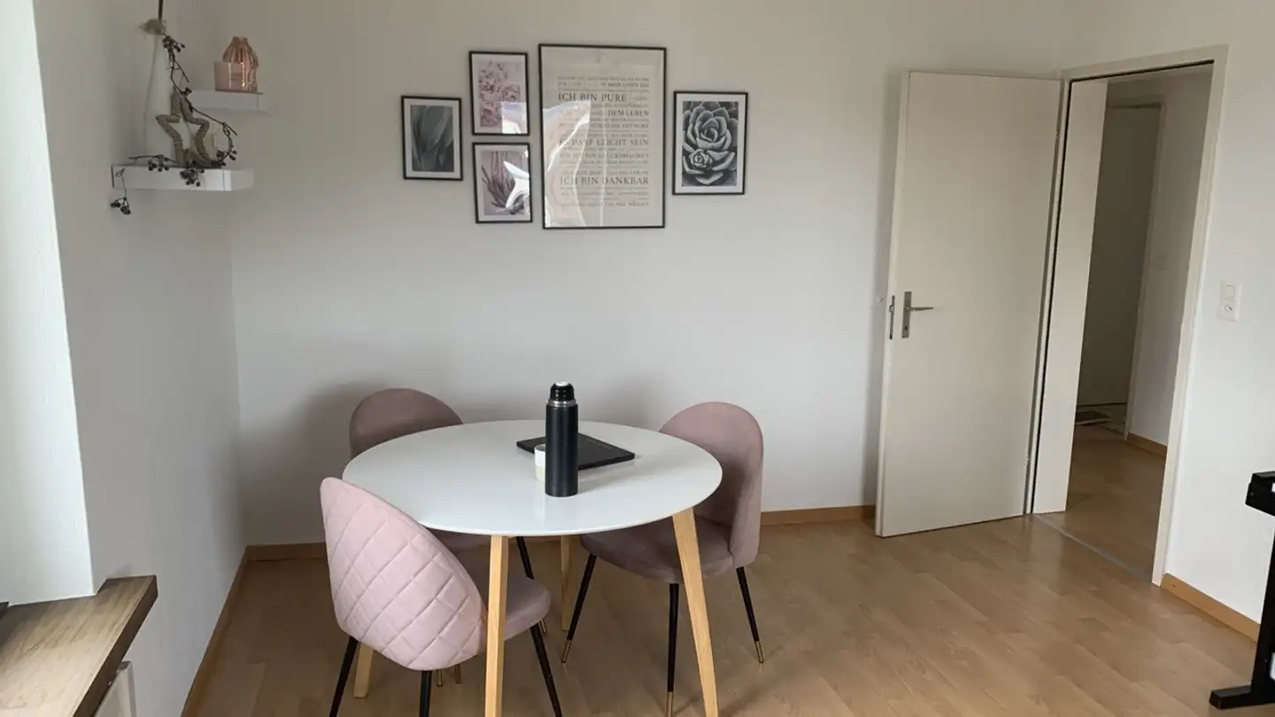 Appartamento in affitto - 8820 Wädenswil