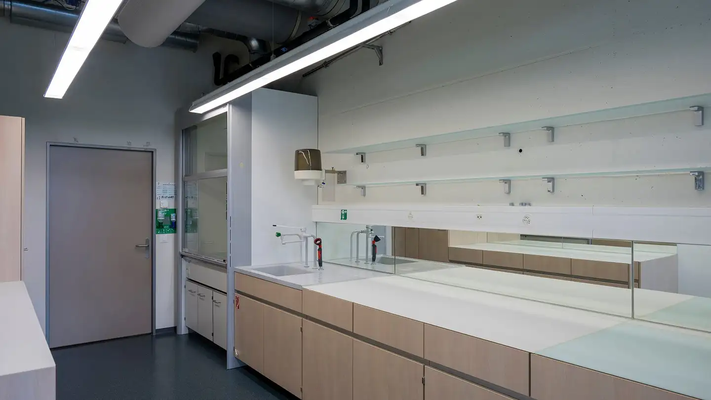 Commerciale in affitto - Rütiwisstrasse 17, 8820 Wädenswil - Photo 3