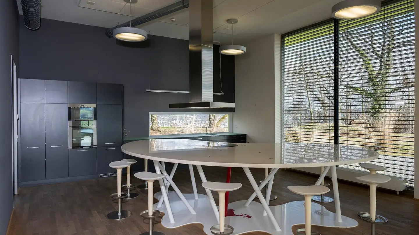 Commerciale in affitto - Rütiwisstrasse 17, 8820 Wädenswil - Photo 4