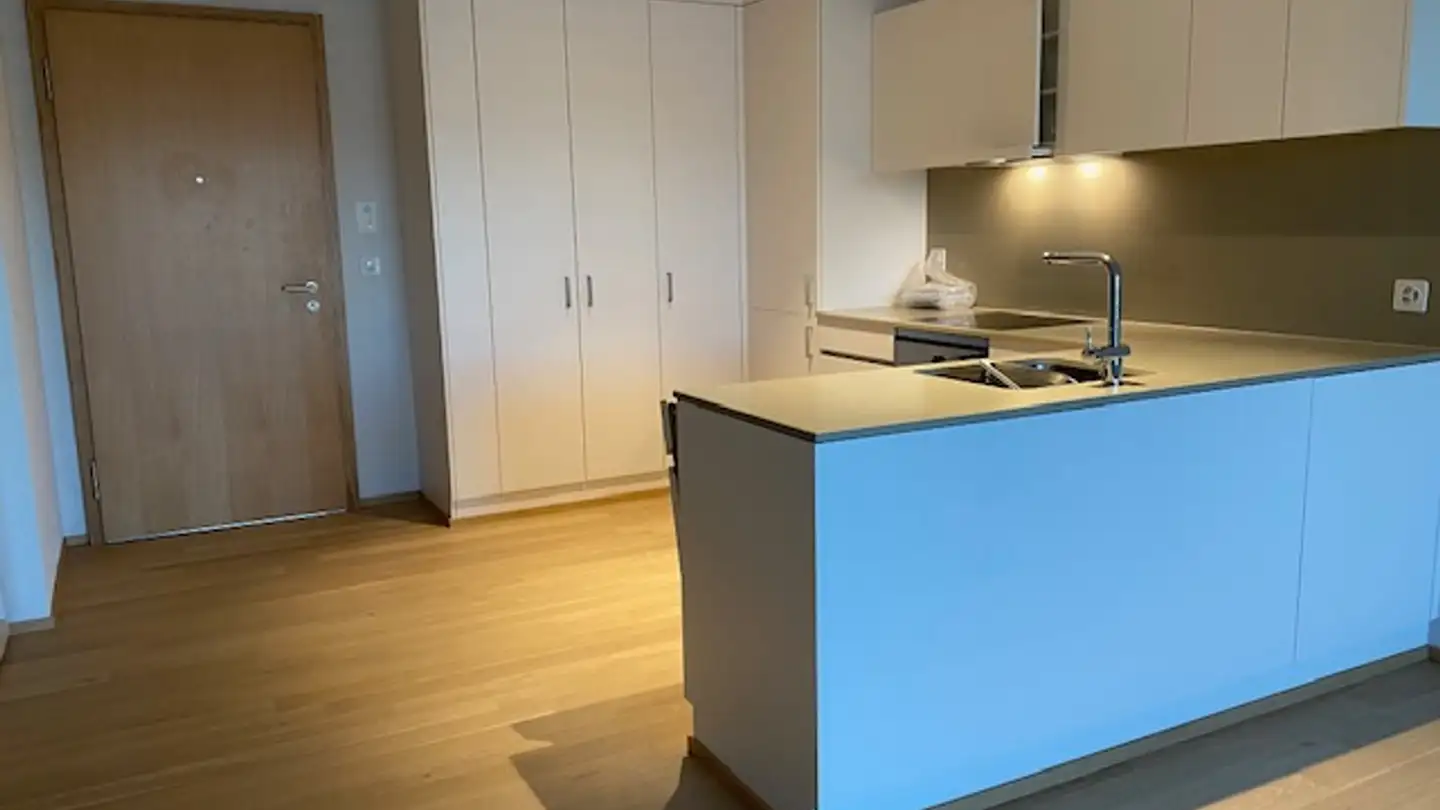 Appartamento in affitto - Langwisenstrasse 14b, 8103 Unterengstringen - Photo 3