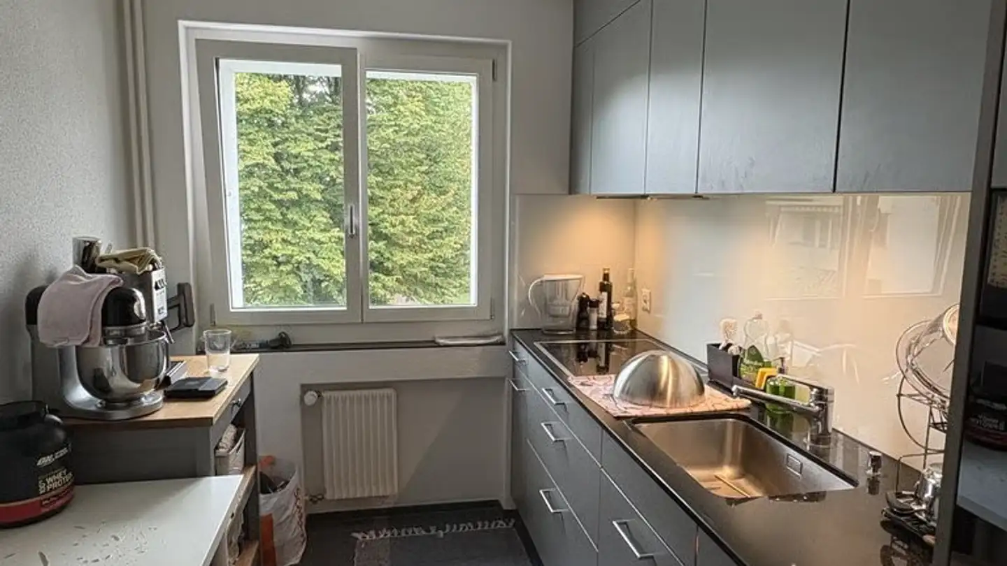 Appartamento in affitto - In Der Ey 71, 8047 Zürich - Foto 2