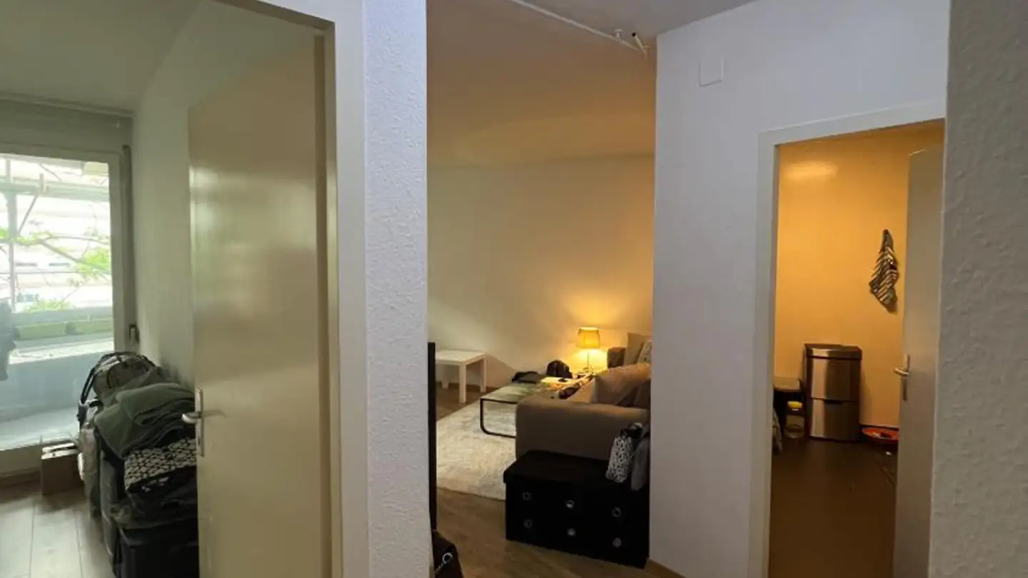 Appartement à louer - Chemin Du Pont-De-Ville, 1224 Chêne-Bougeries - Photo 4