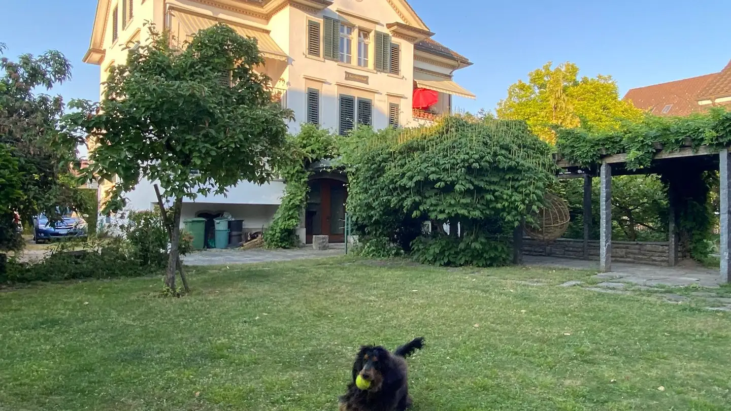 Zimmer mieten - 8330 Pfäffikon ZH - Foto 2