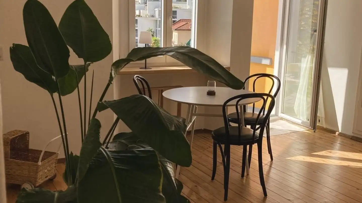 Appartement à louer - 6600 Muralto - Photo 2