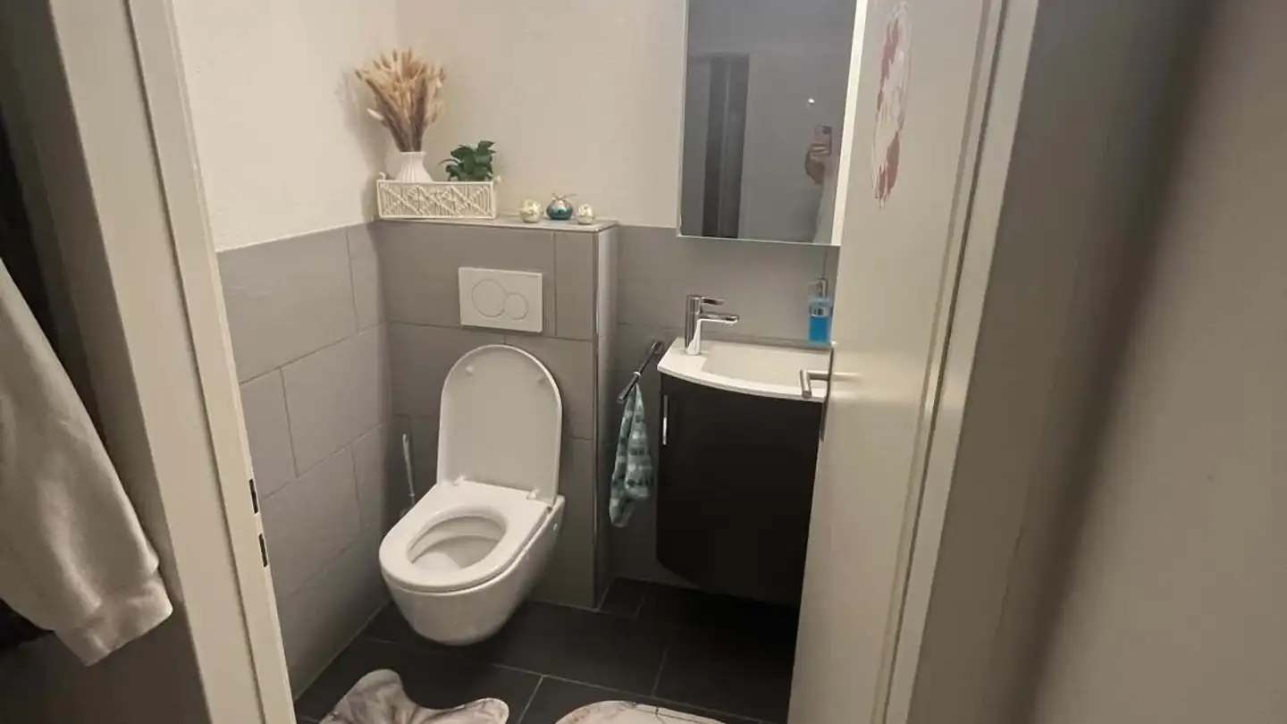 Appartamento in affitto - 8600 Dübendorf - Foto 3
