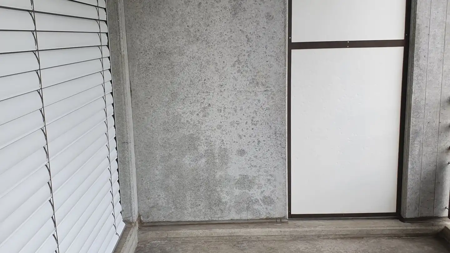 Appartement à louer - Wingarten 4, 2552 Orpund - Photo 4