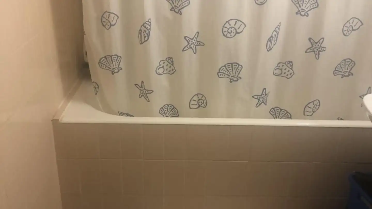 Single room for rent - 1205 Genève - Photo 3